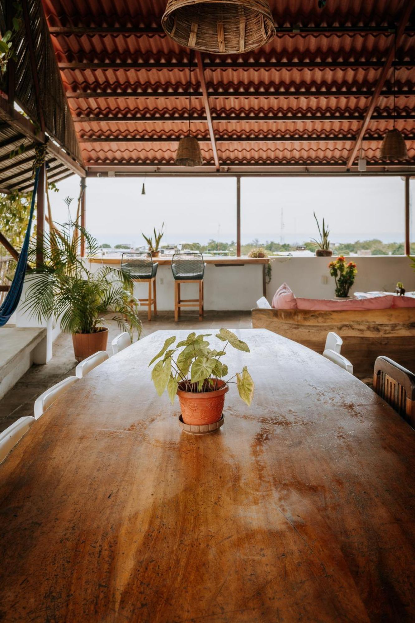 Terraza Puerto Hostel Puerto Escondido  Exterior foto